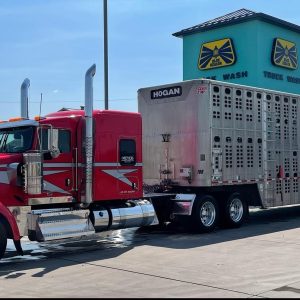 2018 Kenworth W900