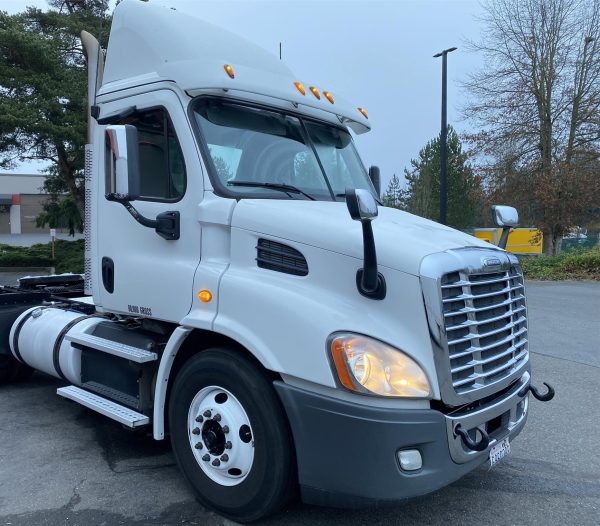 2014 FREIGHTLINER CASCADIA 113 - Image 3