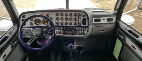 2021 Peterbilt 389 - Image 8