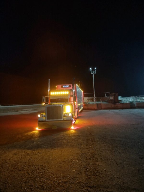 2021 Peterbilt 389 - Image 3