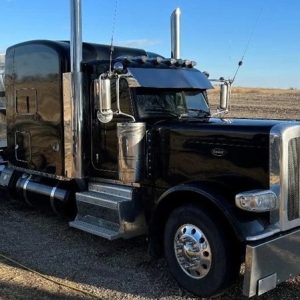2015 PETERBILT 389