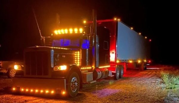 2015 PETERBILT 389 - Image 3