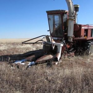 1985  Hesston Field Queen Forage Harvester