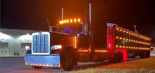 2015 PETERBILT 389 - Image 4