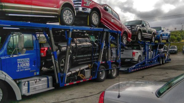 2001 Sterling LT9500 & 2000 Cottrell 7 car trailer - Image 2