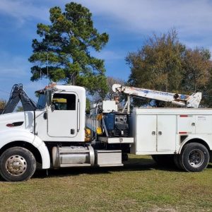 2012 Peterbilt 386