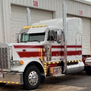 1994 PETERBILT 379