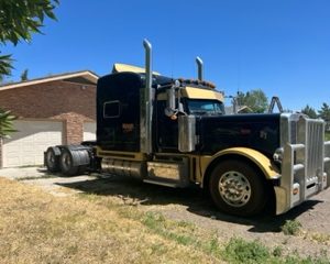 2014 PETERBILT 389