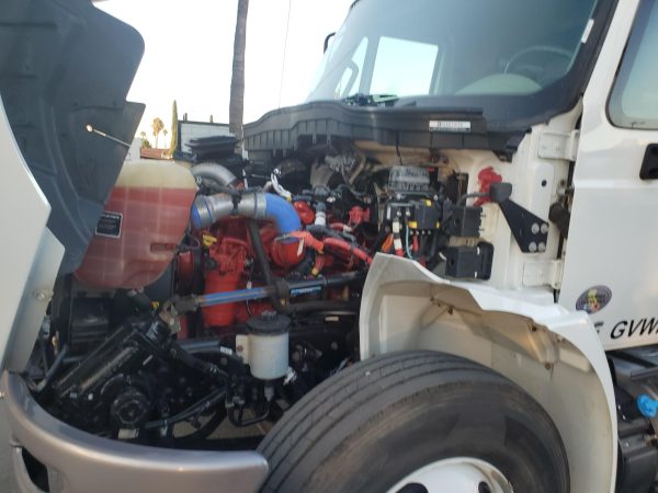 2019 international Durastar 4300 - Image 13