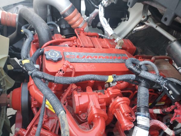 2019 international Durastar 4300 - Image 16