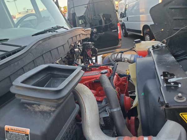 2019 international Durastar 4300 - Image 17