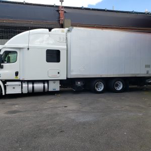 2014 Freightliner Cascadia 113