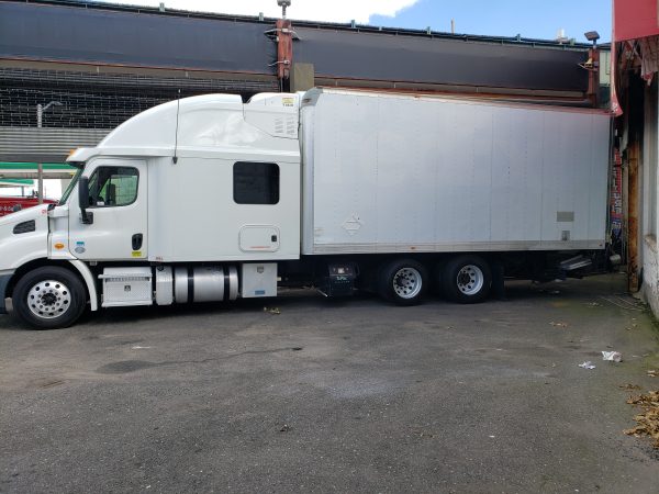 2014 Freightliner Cascadia 113