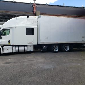 2014 Freightliner Cascadia 113