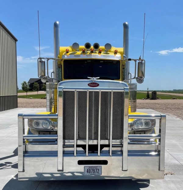 2019 Peterbilt 389 - Image 7