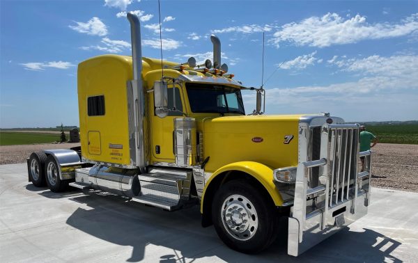 2019 Peterbilt 389 - Image 8