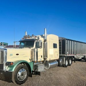 2008 Peterbilt 389