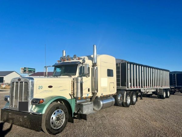 2008 Peterbilt 389