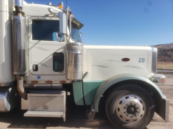 2008 Peterbilt 389 - Image 3