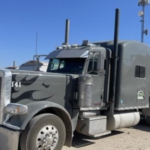 2009 PETERBILT 389