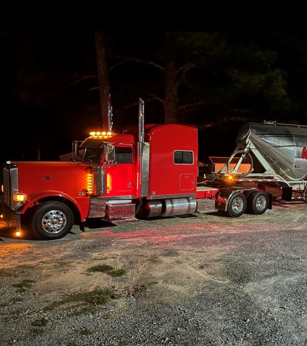 2019 Peterbilt 389