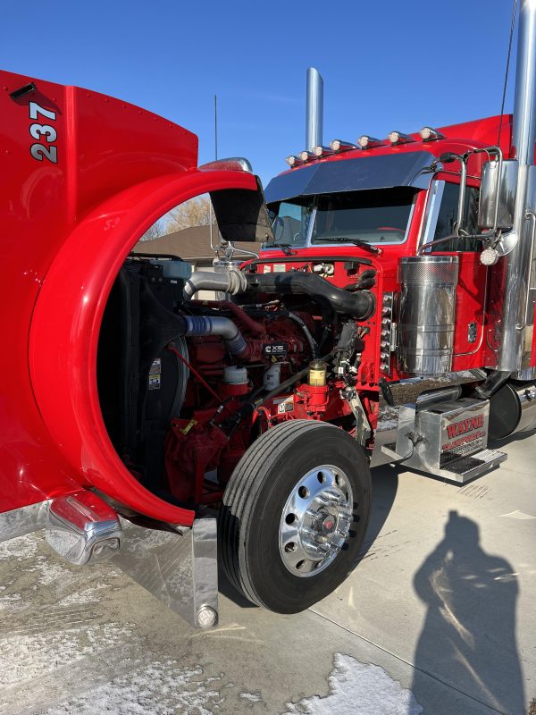 2019 Peterbilt 389 - Image 9