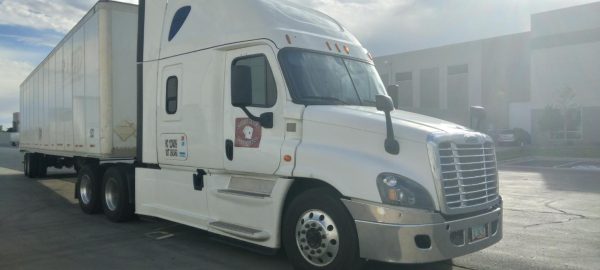 2015 Freightliner Cascadia 125 - Image 3