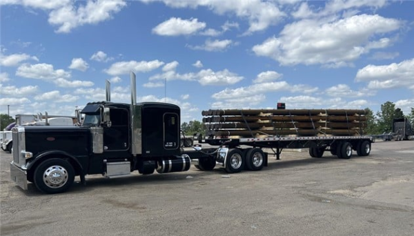 2018 PETERBILT 389 - Image 6