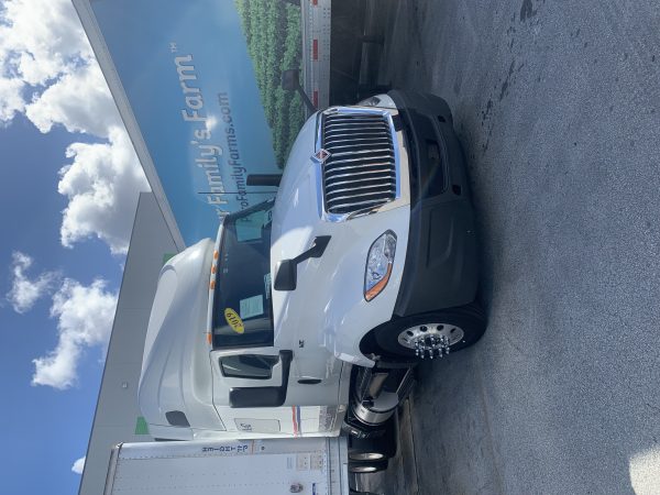 2019 INTERNATIONAL LT - Image 9