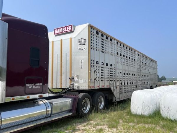 2010 MERRITT 53X102 CATTLE TRAILER - Image 3