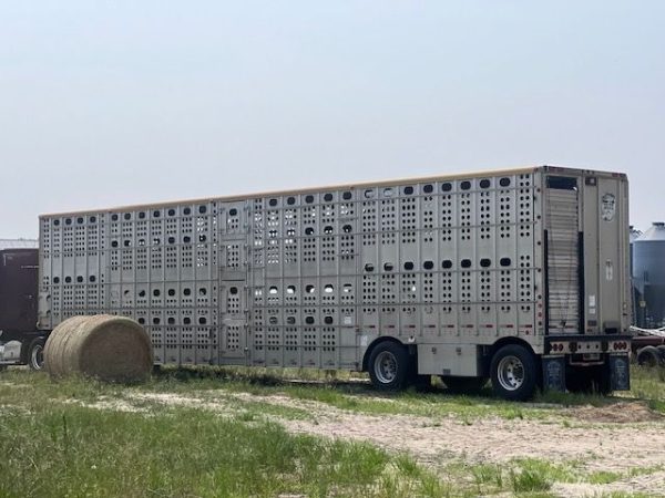 2010 MERRITT 53X102 CATTLE TRAILER - Image 6