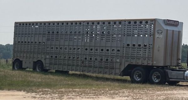 2010 MERRITT 53X102 CATTLE TRAILER - Image 7