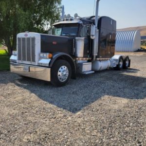 2003 PETERBILT 379 SINGLE BUNK SLEEPER
