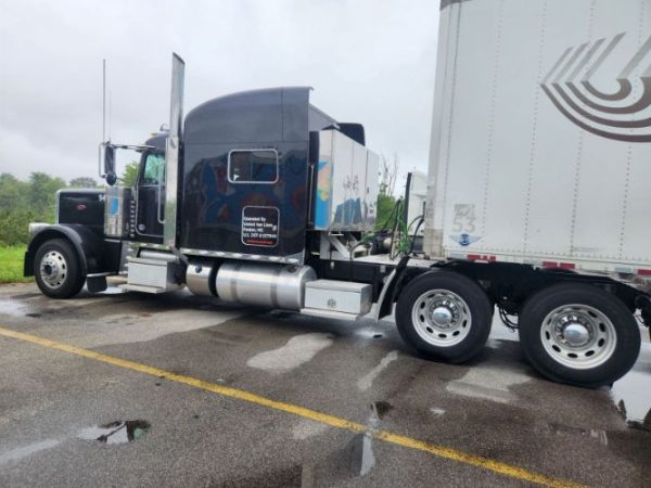 2019 PETERBILT 389 EXHD - Image 3