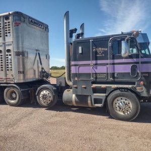1999 PETERBILT 362 CONCONVENTIONAL CAB