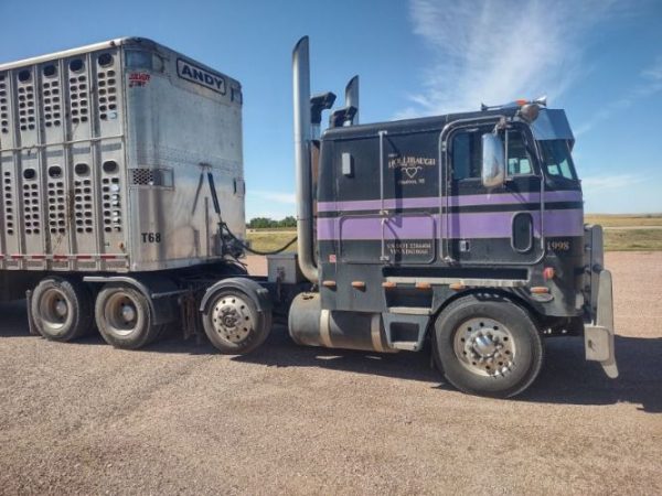1999 PETERBILT 362 CONCONVENTIONAL CAB