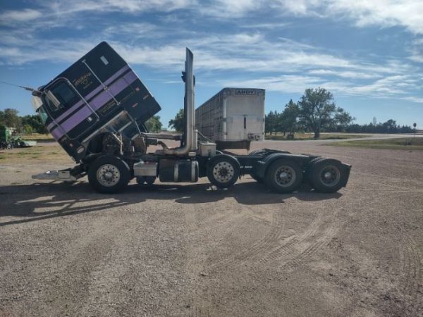 1999 PETERBILT 362 CONCONVENTIONAL CAB - Image 2