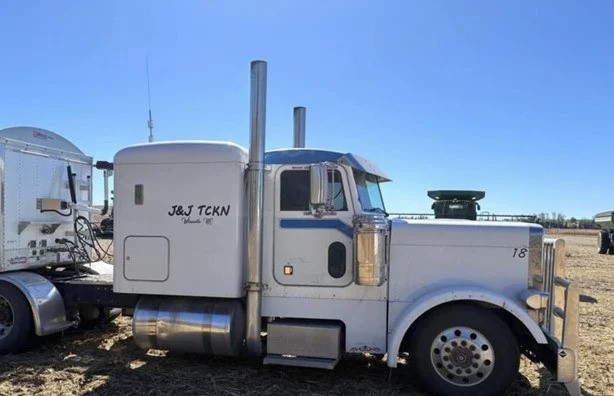 1994 PETERBILT 379 - Image 2