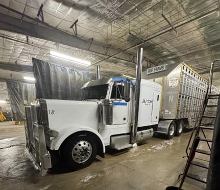 1994 PETERBILT 379 - Image 3