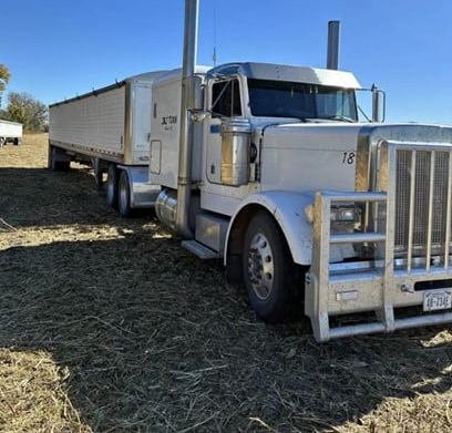 1994 PETERBILT 379 - Image 5