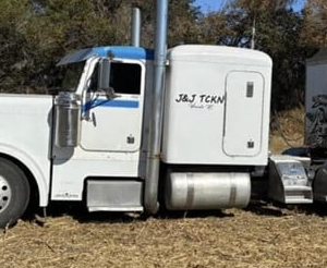 1994 PETERBILT 379