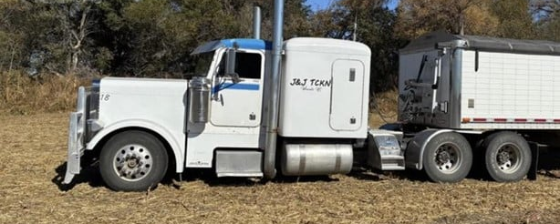 1994 PETERBILT 379