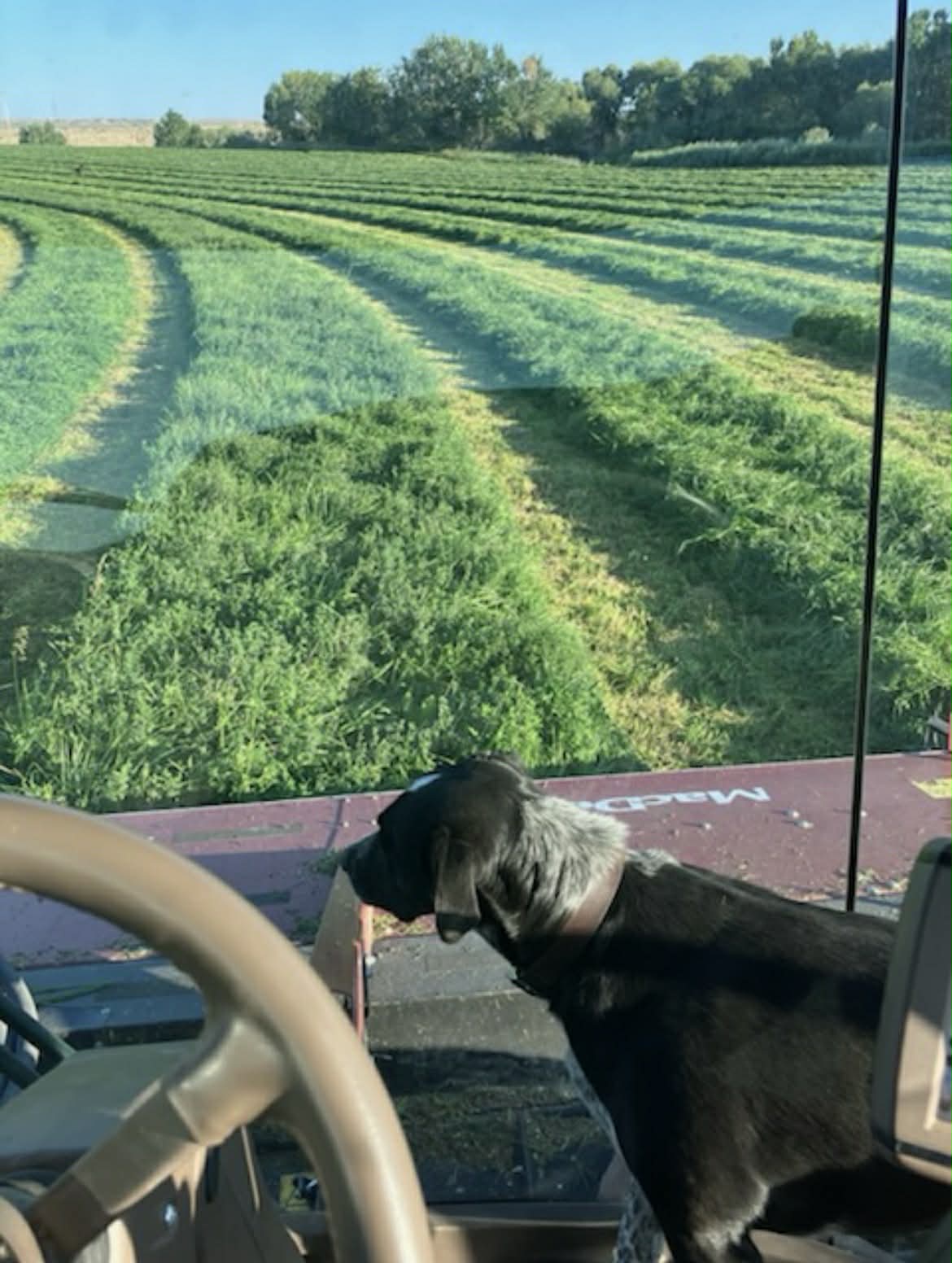 2021 MAC DON M1240 - Image 19