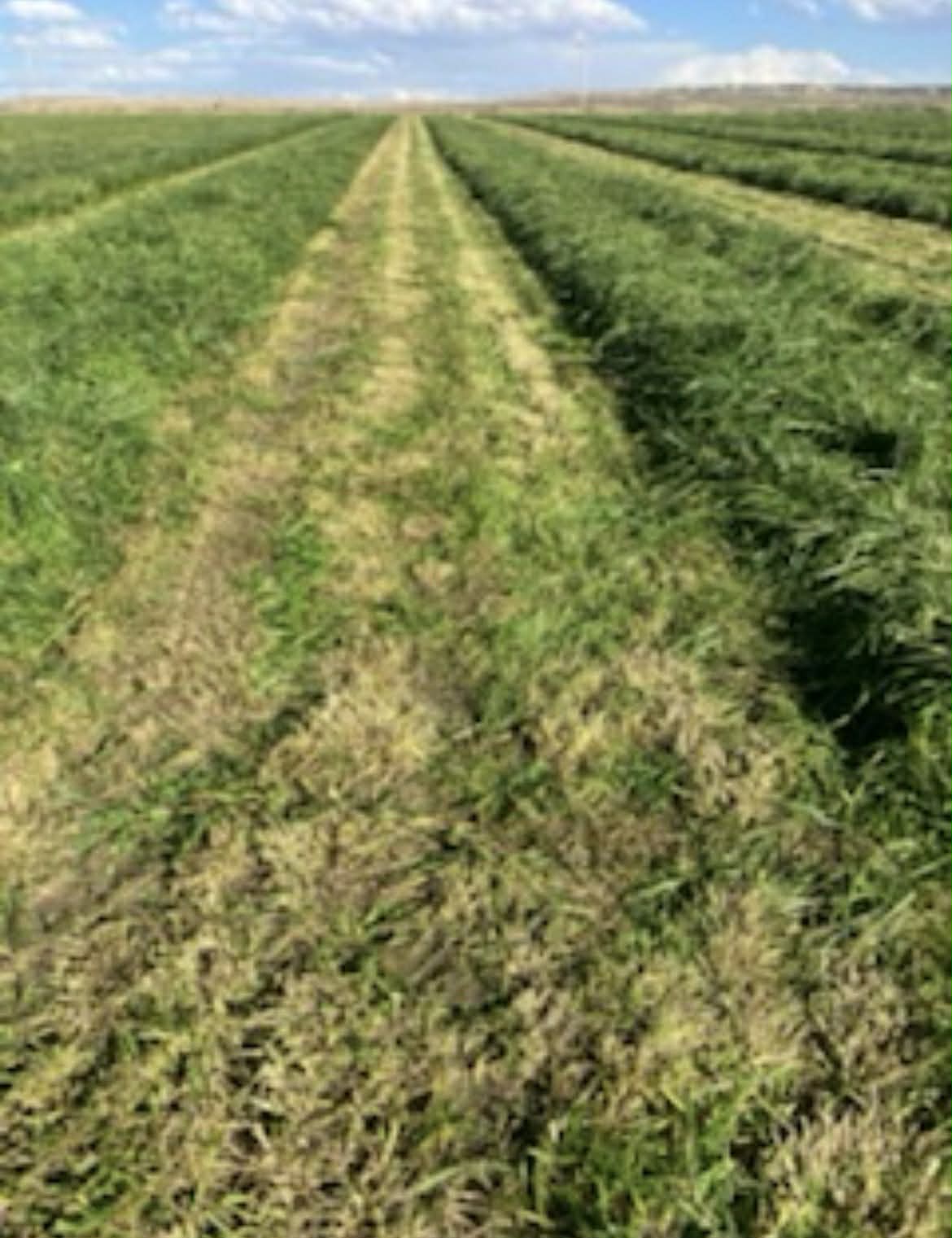 2021 MAC DON M1240 - Image 26