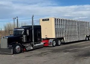 2019 KENWORTH W900L